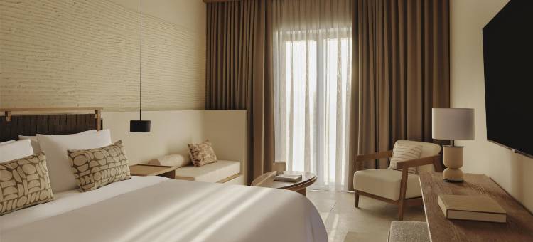 帕罗斯帕里安编年酒店 - 凯悦悠选(Parian Chronicle Hotel Paros)图片