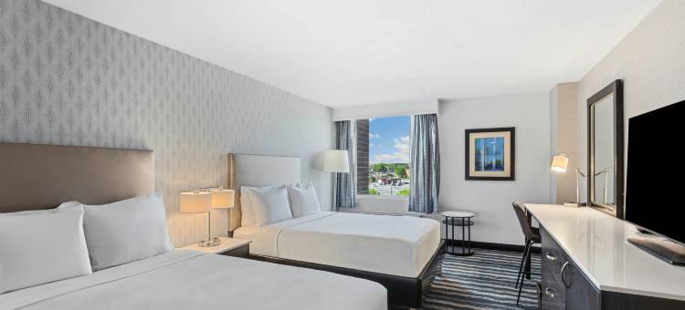 威尔明顿希尔顿逸林酒店(DoubleTree by Hilton Wilmington)图片