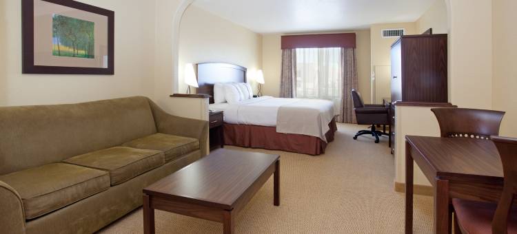 丹佛E-470/帕克尔路假日酒店(Holiday Inn DENVER-PARKER-E470/PARKER RD by IHG)图片