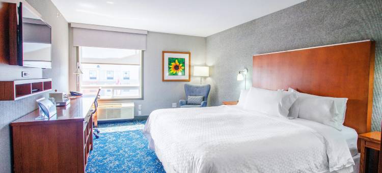 萨斯卡通福朋喜来登酒店(Four Points by Sheraton Saskatoon)图片