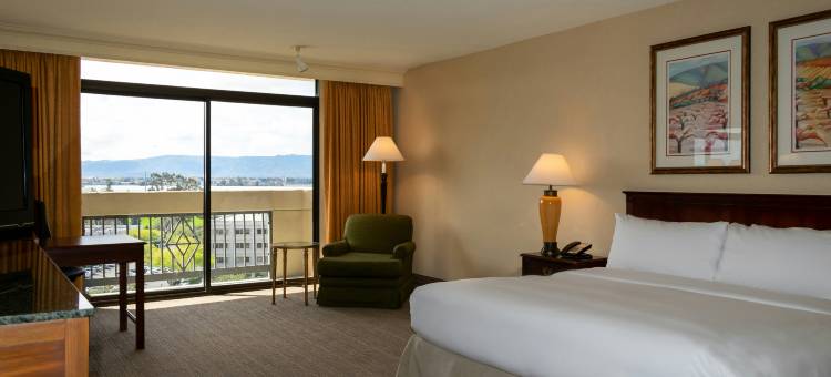 圣何塞希尔顿逸林酒店(DoubleTree by Hilton San Jose)图片