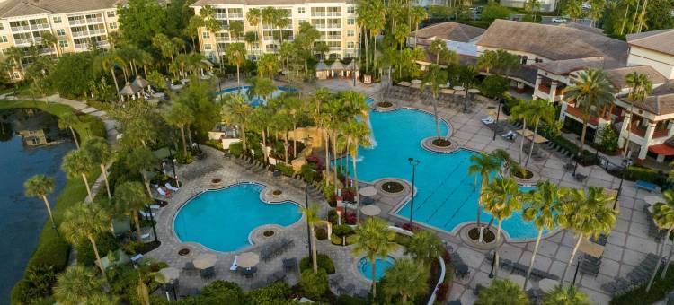 喜来登维斯塔纳村奥兰多国际大道别墅度假村(Sheraton Vistana Villages Resort Villas, I-Drive Orlando)图片