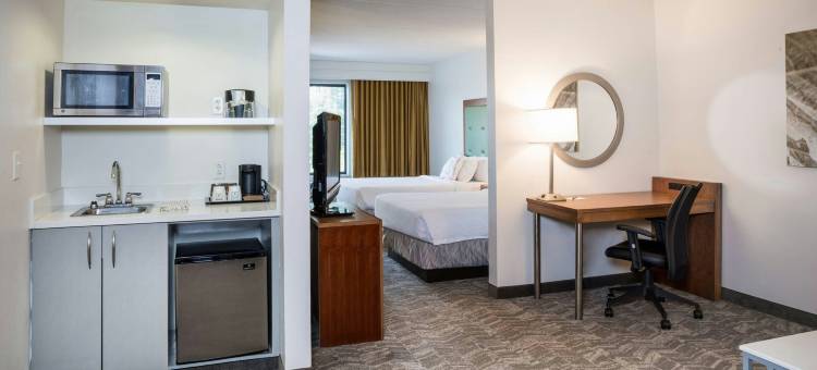 汉普顿SpringHill Suites酒店(SpringHill Suites Hampton)图片