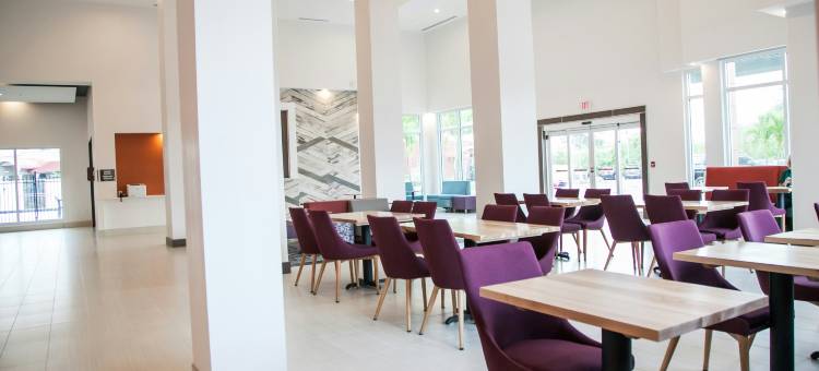 坦帕桑科斯特大道希尔顿花园酒店(Hilton Garden Inn Tampa Suncoast Parkway)图片
