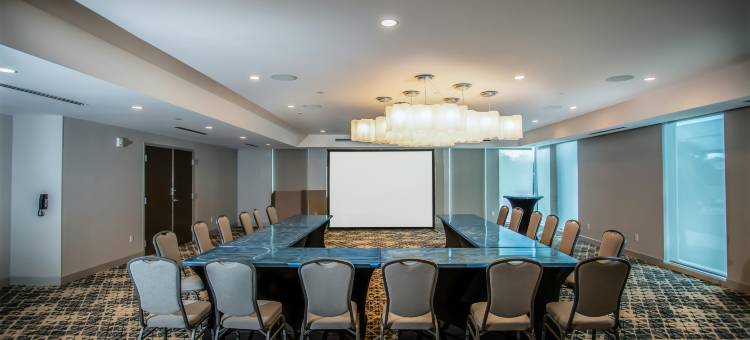 西棕榈滩I95 畅货中心希尔顿花园酒店(Hilton Garden Inn West Palm Beach I95 Outlets)图片