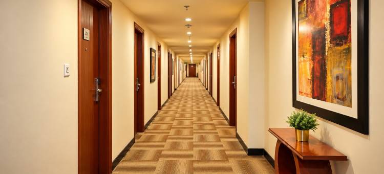 利他主义海泰克酒店(The Altruist Hitech Hotel)图片