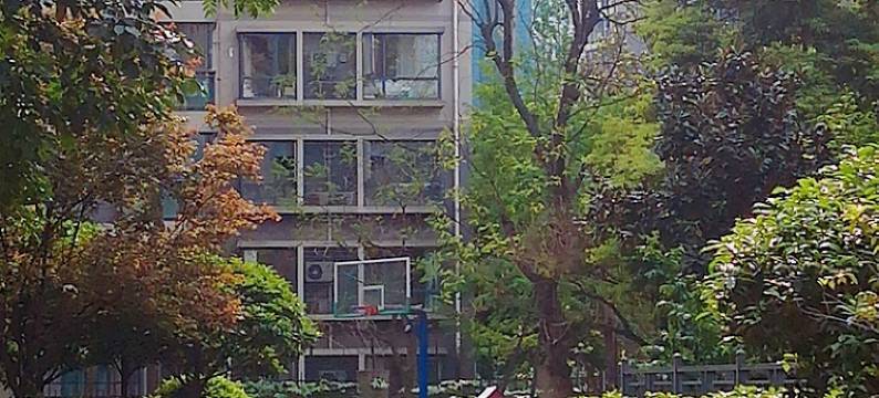 轩轩客栈(成都茶店子车站店)图片