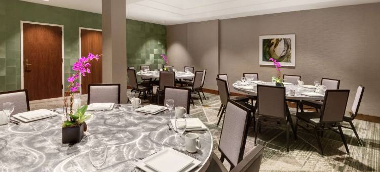 希尔顿安泊酒店-泰森斯角(Embassy Suites by Hilton Tysons Corner)图片