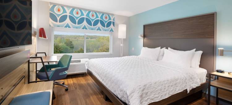 俄亥俄州沙伦维尔希尔顿Tru酒店(Tru by Hilton Sharonville Cincinnati)图片