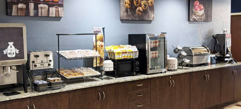 温德姆密歇根市麦客达套房旅馆(Microtel Inn & Suites by Wyndham Michigan City)图片