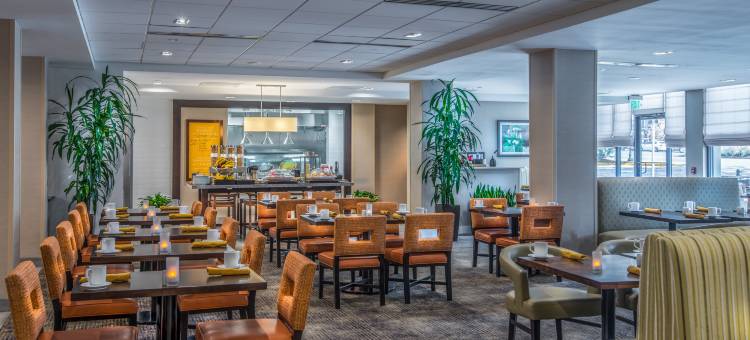 里根国家机场希尔顿花园酒店(Hilton Garden Inn Reagan National Airport)图片