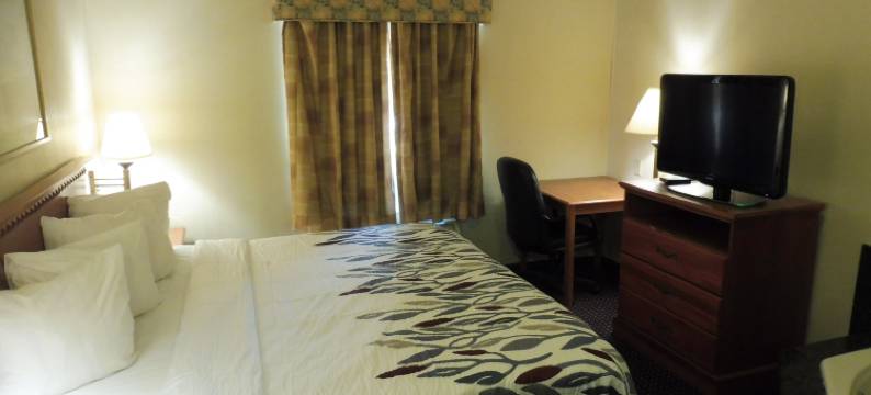 盖洛威红顶套房酒店(Red Roof Inn & Suites Galloway)图片