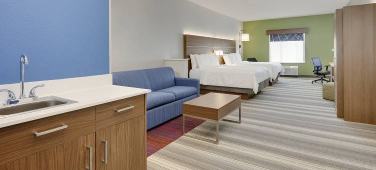 智选假日套房酒店登顿- UNT - TWU(Holiday Inn Express & Suites DENTON NORTH by IHG)图片