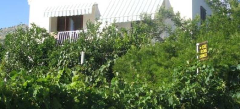 GH可乐(Guest House Kola)图片