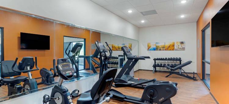 韦斯特门罗舒适套房酒店-近艾克汉密尔顿博览中心(Comfort Suites West Monroe Near Ike Hamilton Expo Center)图片