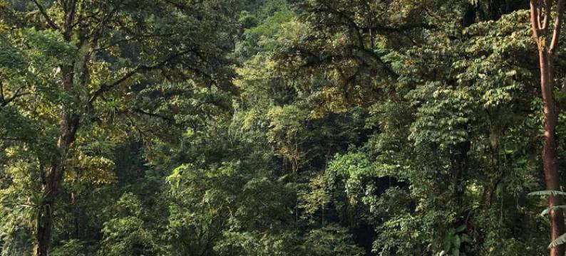 帕夸雷旅馆(Pacuare Lodge by Böëna)图片