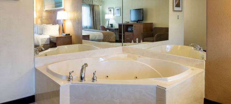 底特律大都会机场克拉丽奥酒店(Clarion Hotel Detroit Metro Airport)图片