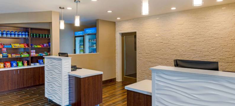 舒适套房酒店-近安大略机场(Comfort Inn & Suites Near Ontario Airport)图片