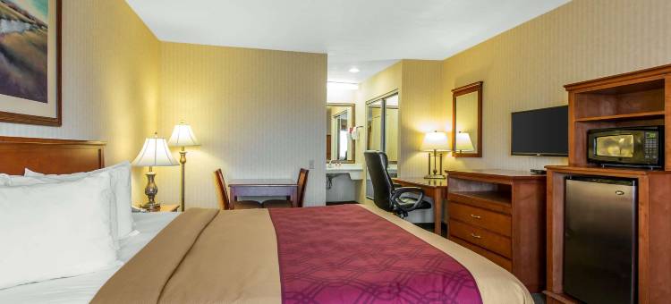 里布-科罗纳伊克诺套房酒店(Econo Lodge Inn & Suites Riverside - Corona)图片
