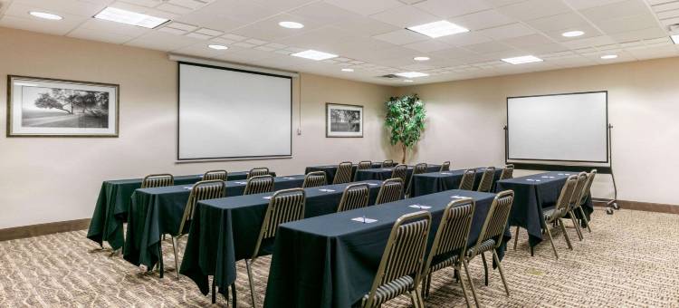 霍普金斯维尔坎贝尔堡附近舒适套房酒店(Comfort Suites Hopkinsville Near Fort Campbell)图片