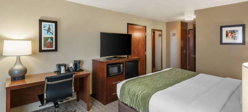 大学舒适酒店(Comfort Inn University)图片