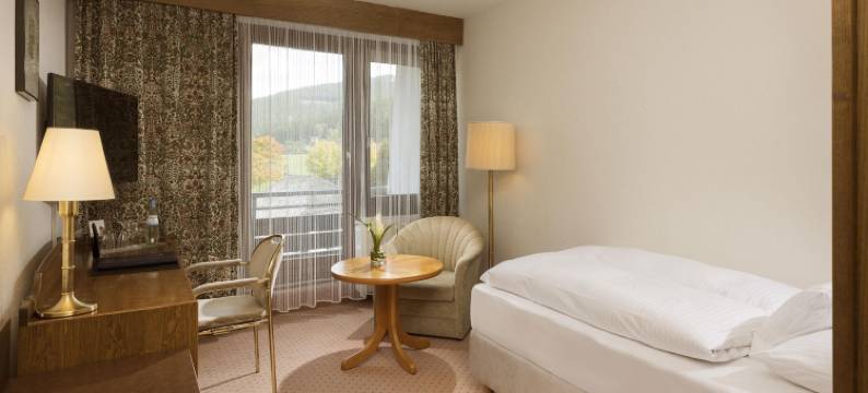 蒂蒂湖酒店(Maritim TitiseeHotel Titisee-Neustadt)图片