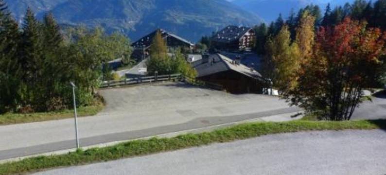 Apartment Asters图片