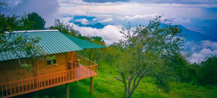 沙发木屋(Shafa Wood House Kodaikanal)图片