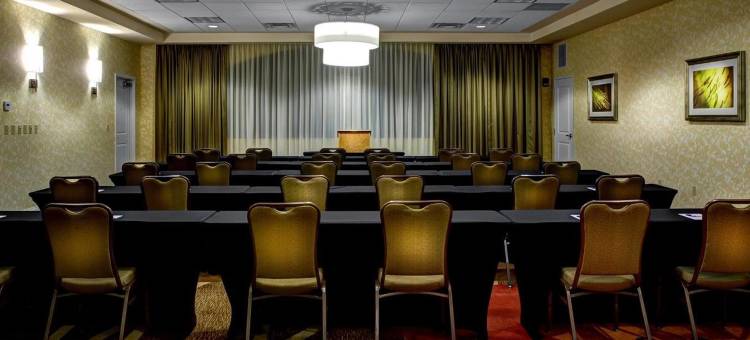 罗利达勒姆三角研究园希尔顿花园酒店(Hilton Garden Inn Raleigh-Durham/Research Triangle Park)图片