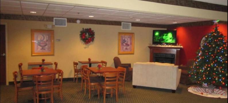 凯富套房酒店(Comfort Inn & Suites)图片