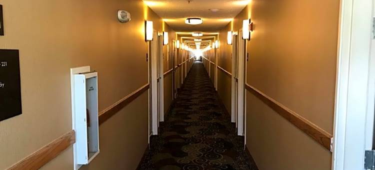 舒适酒店(Comfort Inn)图片