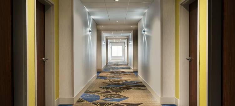 科科莫南部洲际智选假日套房酒店(Holiday Inn Express & Suites KOKOMO SOUTH by IHG)图片
