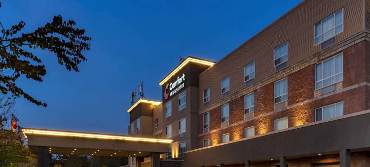 舒适套房酒店(Comfort Inn & Suites)图片