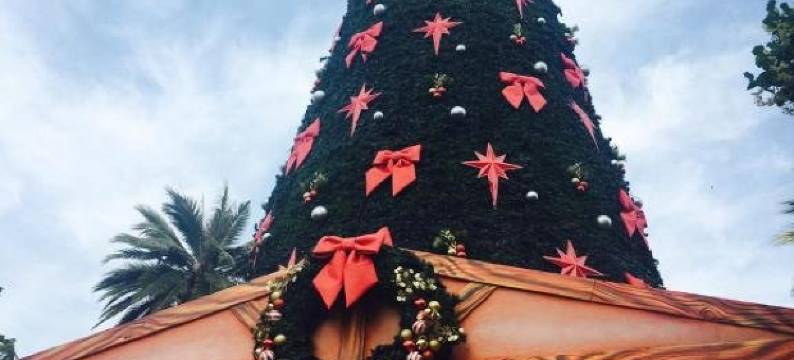 Hostal Maria Angelica图片