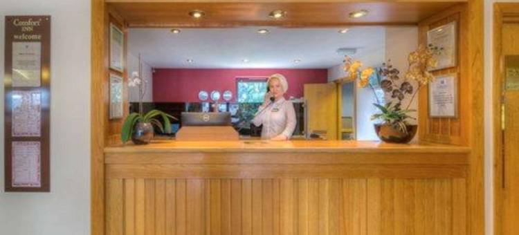 阿伦德尔舒适酒店(Comfort Inn Arundel)图片