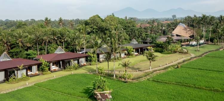 巴厘岛格达斯健康养生度假村(Gdas Bali Health and Wellness Resort)图片