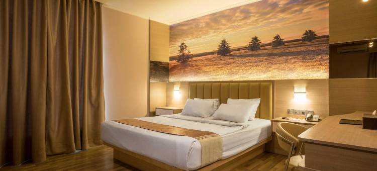 高级酒店(Star Hotel)图片