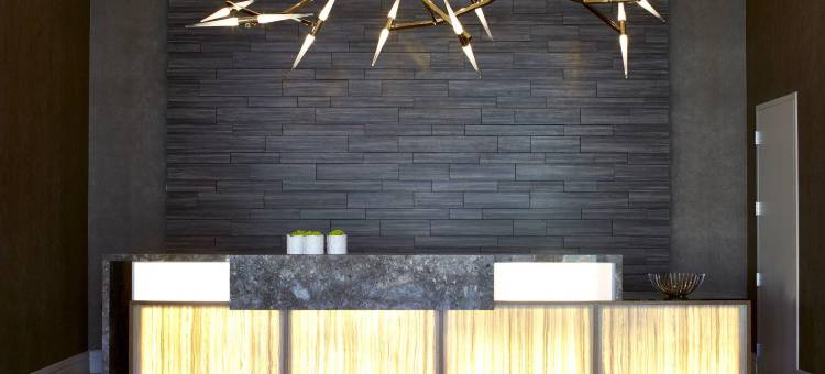 万豪AC酒店(AC Hotel Atlanta Buckhead at Phipps Plaza)图片