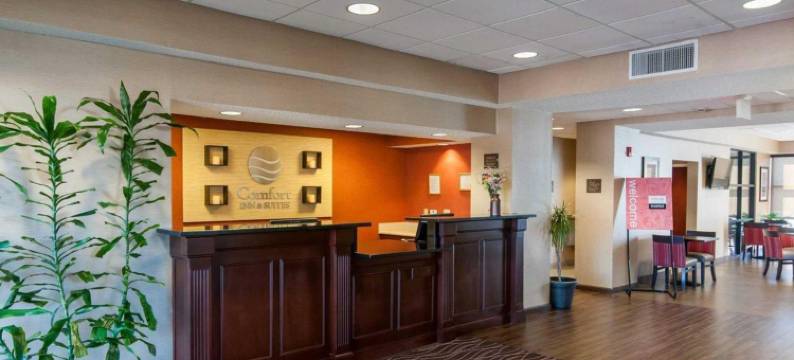 舒适套房酒店(Comfort Inn & Suites)图片