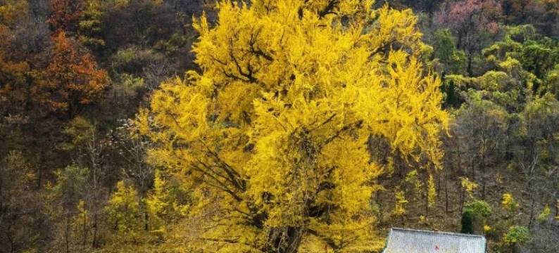 王屋山山里人家精品民宿图片