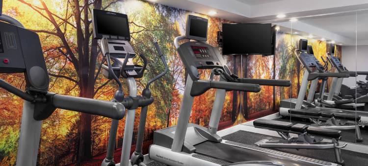 纽约曼哈顿/切尔西万豪万枫酒店(Fairfield by Marriott Inn & Suites New York Manhattan/Chelsea)图片