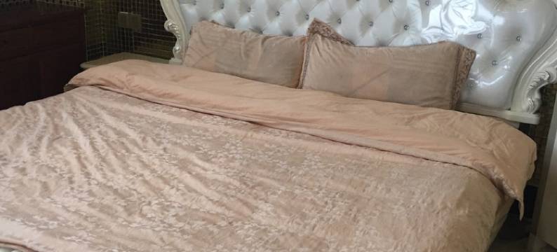 唐燕兰公寓(龙华街分店)图片