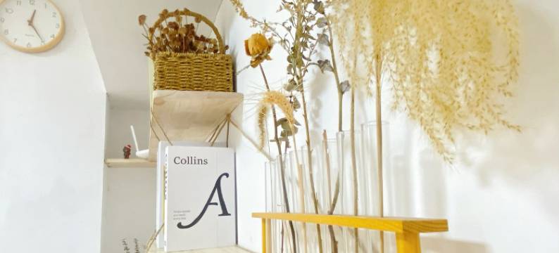 有一家西安民宿(小寨西路分店)图片