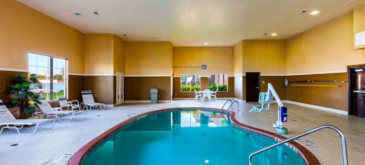 大学城舒适套房酒店(Comfort Suites University)图片