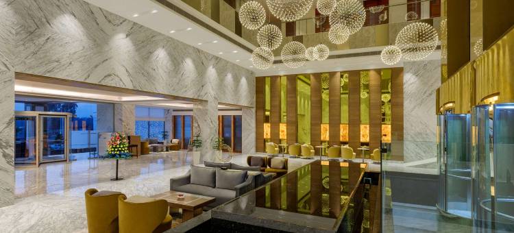 查漠维拉吉萨罗瓦长廊酒店(Viraj Sarovar Portico)图片