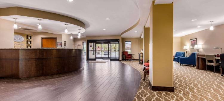 舒适套房酒店(Comfort Suites)图片