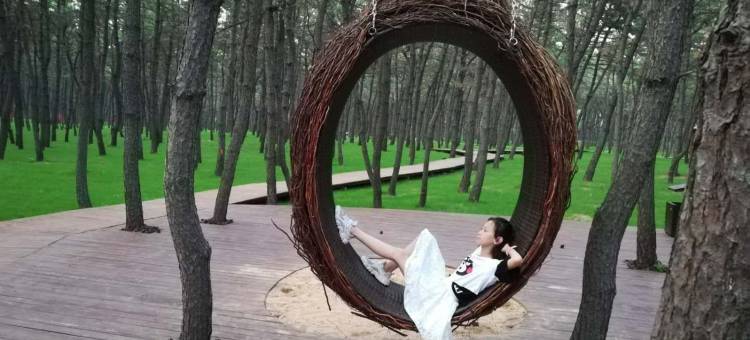 龙族海景房公寓(林海路2号分店)图片