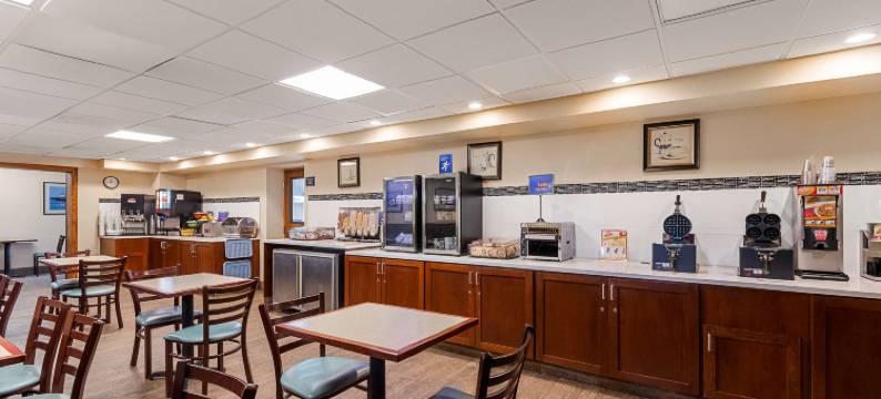 桥景汽车贝斯特韦斯特酒店(Best Western Bridgeview Hotel)图片