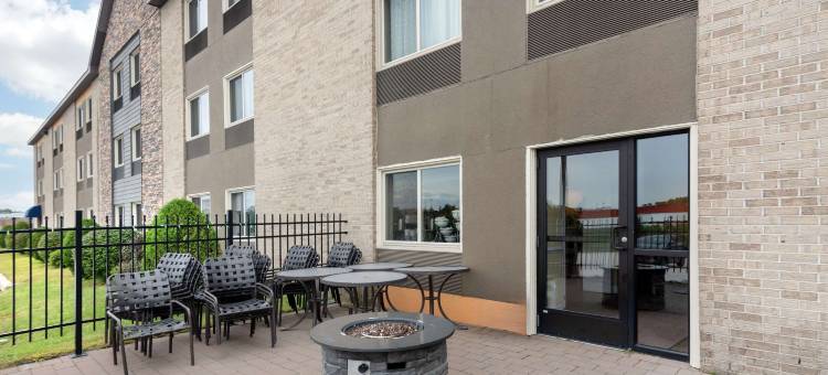 舒适酒店(Comfort Inn)图片