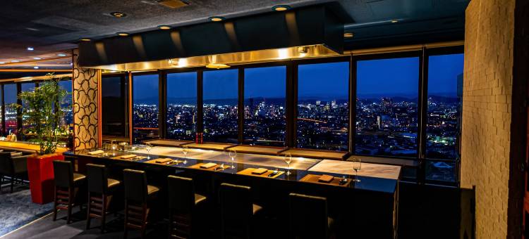 冈山国际酒店(Okayama International Hotel)图片